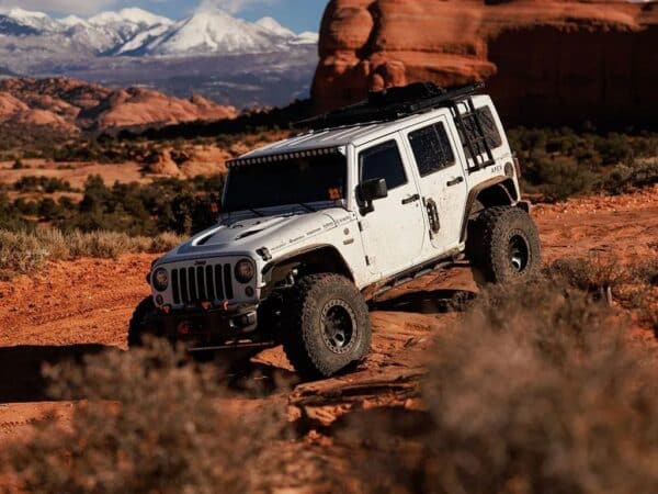 WRANGLER JK SIDE MOUNT LADDER